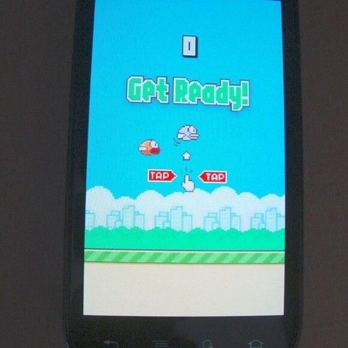 Originale flappy b1rd - originale, 2013